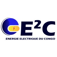 E2C SA logo - Similar company to Qsm Technologies