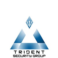Trident Security Group logo - Similar company to Trident Security Solutions Ltd