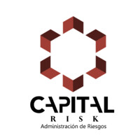 Capital Risk logo - Similar company to Capital Risk Group
