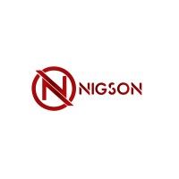 Nigson Import and Investments logo - Similar company to Loft And Keys Limited