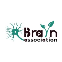 Brayn Conference
