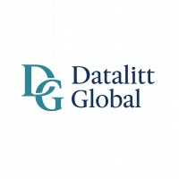 DataLitt Global logo - Similar company to Throns Infrastructure Private Limited