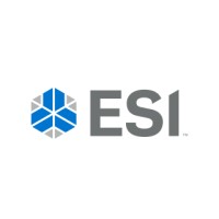 ESI Marketing Group logo - Similar company to Direct Link