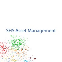 SHS Asset Management logo - Similar company to Data Garage