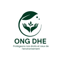ONG DES DROITS DE L'HOMME ET DE L'ENVIRONNEMENT logo - Similar company to Gi2E- Officiel
