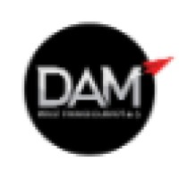 DAM Start-up Studio logo - Similar company to Now Sprint! Startup Accelerator