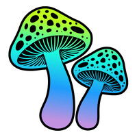 Shroomed Lifestyle Brand - Apparel, Accessories, Education logo - Similar company to Session Goods
