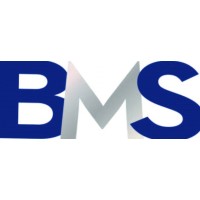 BMS logo - Similar company to Lead Me To Gettysburg
