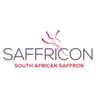 Saffricon South Africa logo - Similar company to Lava Gourmet