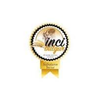INCI BULGUR logo - Similar company to Kavak Group
