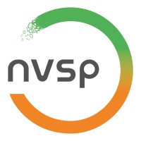 NVSP a.s. logo - Similar company to Anet-Advanced Network Technology