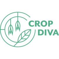 Cropdiva logo - Similar company to Divinfood
