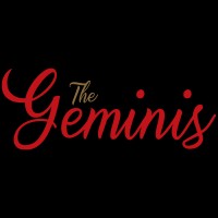 The Geminis logo - Similar company to Freesoft Technologies