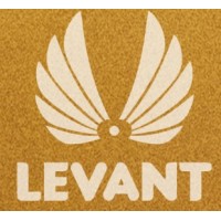 Levant Comunicação logo - Similar company to Aware Comunicação