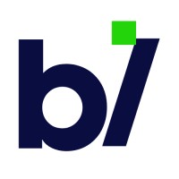 BIsion logo - Similar company to Tecnimart Comunicaciones