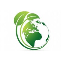 BSM INTERNATIONAL GROUP logo - Similar company to Bsm Internationaal Groups