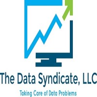The Data Syndicate logo - Similar company to Tulip Talks