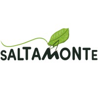 Fundación Saltamonte logo - Similar company to Rote Kirche Testzentrum