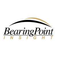 BearingPoint Insight logo - Similar company to Bearingpoint Nv