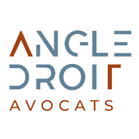 ANGLE DROIT logo - Similar company to Assurances Deleplanque