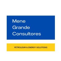 Mene Grande Consultores logo - Similar company to Vasicont