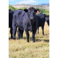 JEMA FARMS, LLC logo - Similar company to Grant 4-D Farms Llc
