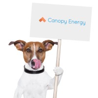 Canopy Energy logo - Similar company to Optic Power