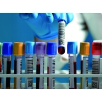 DOCTORS LAB - Independent Clinical Laboratory logo - Similar company to Macrogen Clinical Laboratory