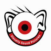 Visually Sound Pictures Llc