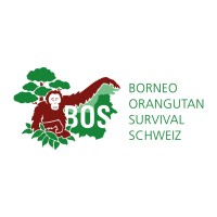 Borneo Orangutan Survival (BOS) Schweiz logo - Similar company to Zurich Domicile®