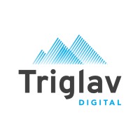 Triglav Digital logo - Similar company to Heytalent