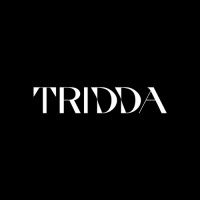 TRIDDA logo - Similar company to Tirien Web Development