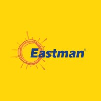 Eastman Auto & Power Limited logo - Similar company to Microtek International Pvt  Ltd.