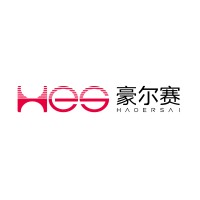 HES Lighting Technology Group Co., Ltd. （豪尔赛科技集团股份有限公司） logo - Similar company to 大隐数码科技（苏州）有限公司