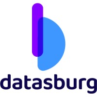 Datasburg logo - Similar company to Like Minded Software Inc.