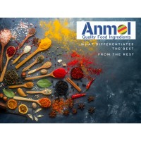 Anmol Quality Foods logo - Similar company to Pillboxcapital