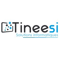 Tineesi - Solutions Informatiques logo - Similar company to Asgard Access