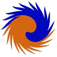 THE IGNITED MINDS logo - Similar company to Ignited Minds It Solutions