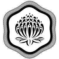 Bellmont Securities logo - Similar company to Conexus Financial