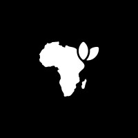 Afro Optimism logo - Similar company to 1990