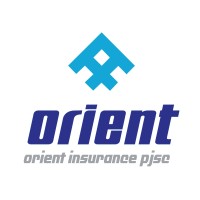 Orient Insurance logo - Similar company to Elseco