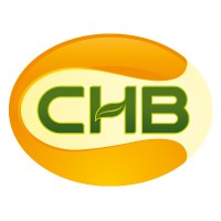 CHB GROUP logo - Similar company to Magic Box