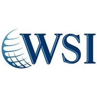 WSI DM INC. logo - Similar company to Digiads Media Pvt Ltd