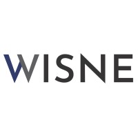 WISNE logo - Similar company to Ganlaxmine