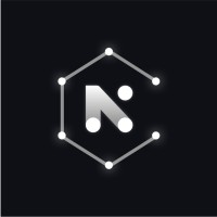 Netrios logo - Similar company to Alpha Lab 40
