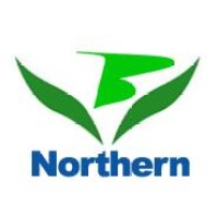Baoding City Northern Flower Manufacturing Co., Ltd logo - Similar company to Realistic Artificial Flowers