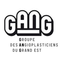 GANG (Groupe des ANgioplasticiens du Grand Est) logo - Similar company to Ics