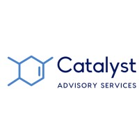 Catalyst Advisory Services logo - Similar company to Midwestguard Llc