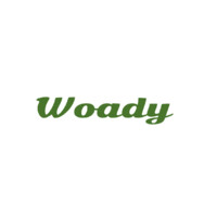 Woady logo - Similar company to Hextropian Systems