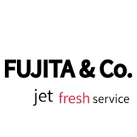 Fujita & Co. Deutschland GmbH logo - Similar company to Straubtec Gmbh & Co. Kg